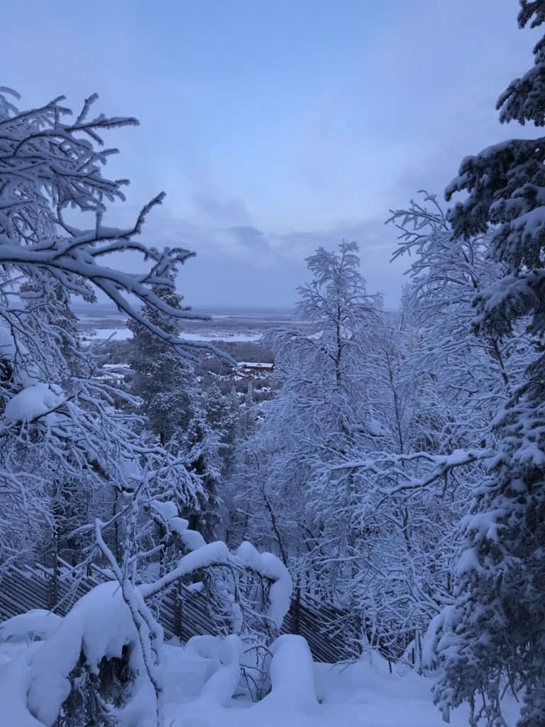 snow, trees, holiday, travel, lapland, Levi, Finland, ski
